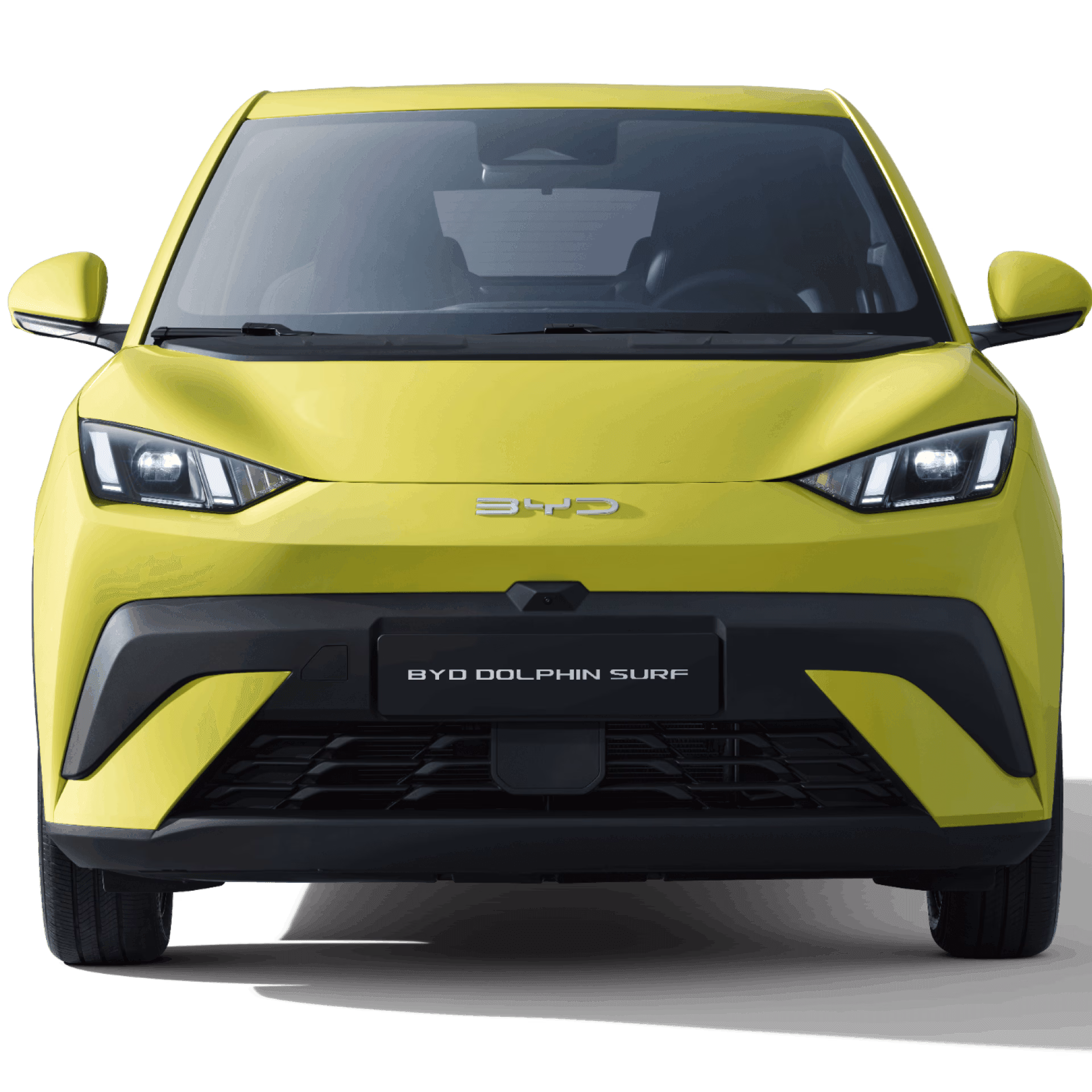 BYD Dolphin Surf